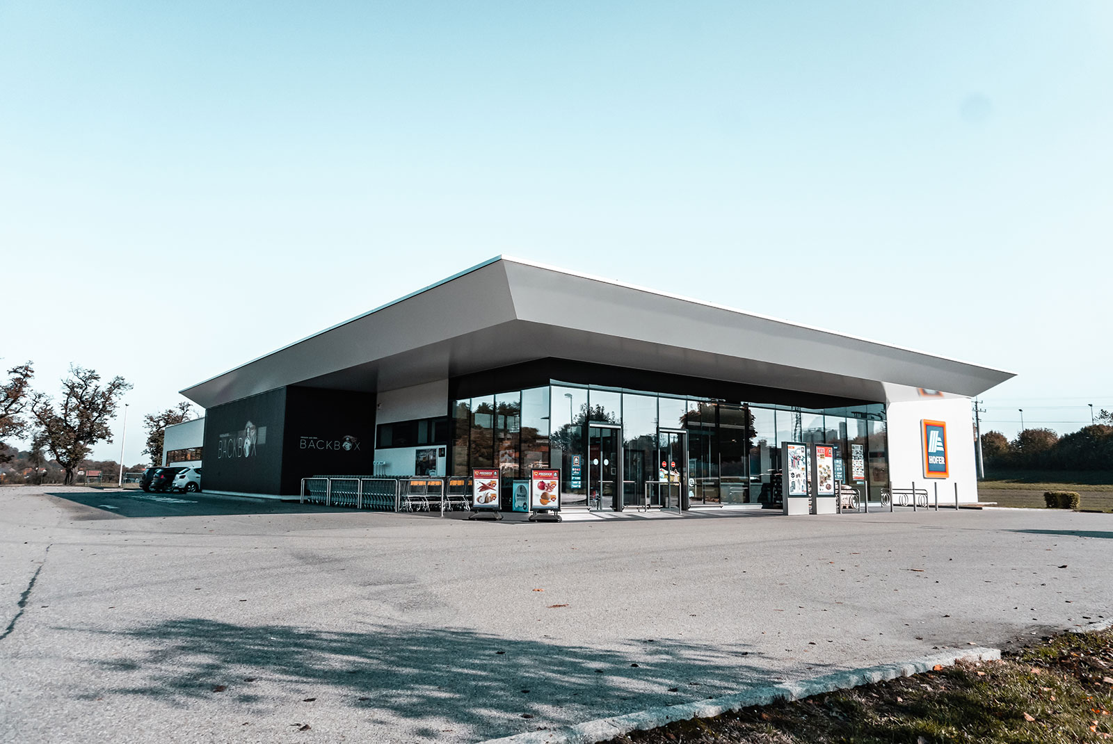 CI entwicklung Hofer 2012